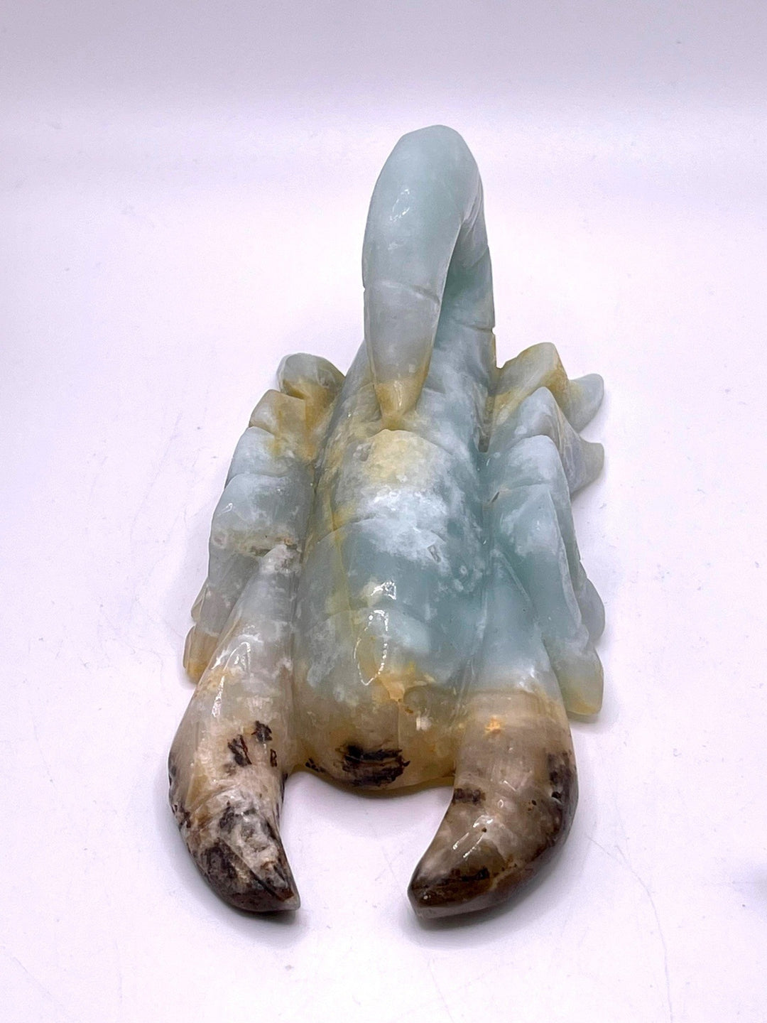 Caribbean Calcite Scorpions