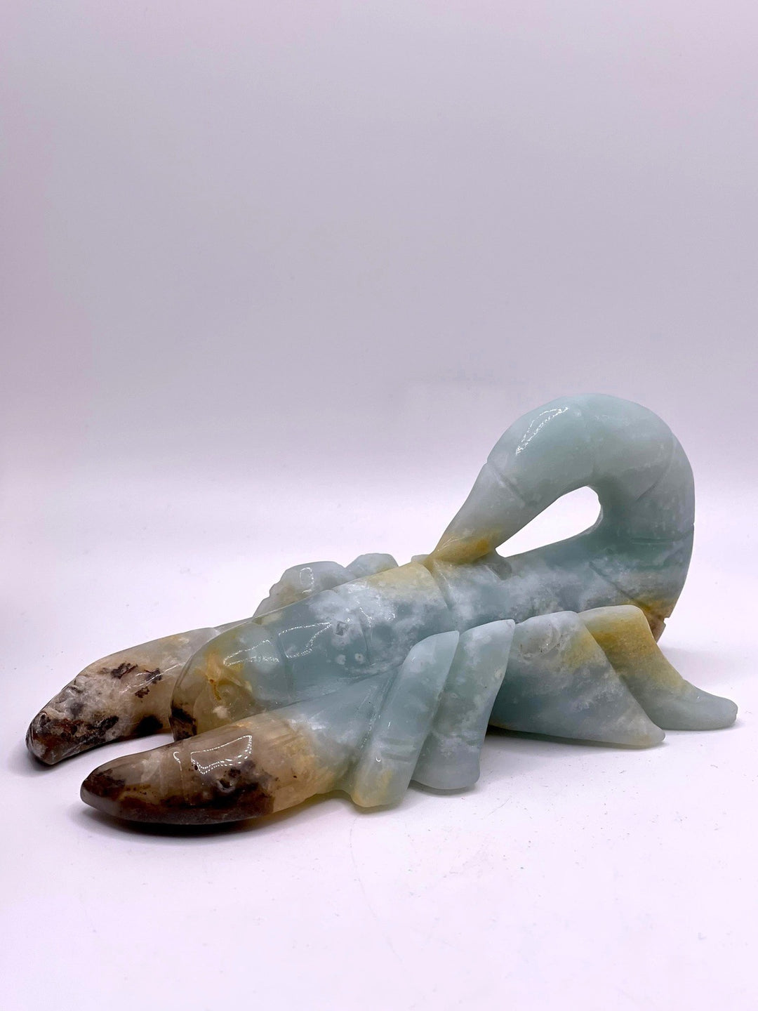 Caribbean Calcite Scorpions